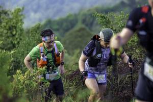 BIB: 2535, 209
                            <button type="button" onclick="openModal(24763787)" class="btn btn-primary btn-sm float-right btn-popup" data-toggle="modal" data-target=".modal-high-quality">
                        <i class="fas fa-shopping-cart"></i> Add to Cart
                    </button>
                                            <button type="button" onclick="isThisMe(24763787, true)" class="btn btn-success btn-sm float-right btn-popup btn-isme hidden" data-toggle="tooltip" data-placement="bottom" title="นี่คือรูปของคุณใช่ไหม คลิกที่นี่เพื่อเอาเข้าอัลบั้ม">
                        <i class="fas fa-plus"></i> Add to album
                    </button>
                    <button type="button" onclick="isThisMe(24763787, false)" class="btn btn-warning btn-sm float-right btn-popup btn-isnotme hidden">
                        <i class="fas fa-ban"></i> Remove from album
                    </button>